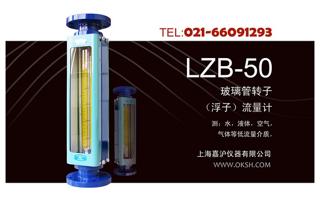 ZB-50大口径玻璃转子浮子流量计-上海嘉沪