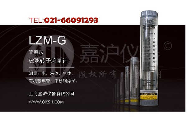 LZM-G转子浮子流量计-上海嘉沪