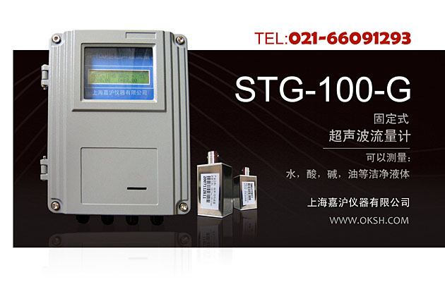 STG-100-G固定式超声波流量计-上海嘉沪